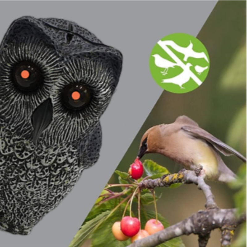 Wyjątkowy odstraszacz na ptaki